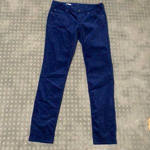 Gap Blue Velvet pants